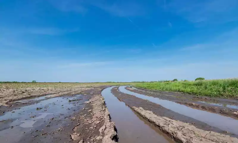 Gevolgen van nat voorjaar voor eco-activiteiten en Gecombineerde Opgave