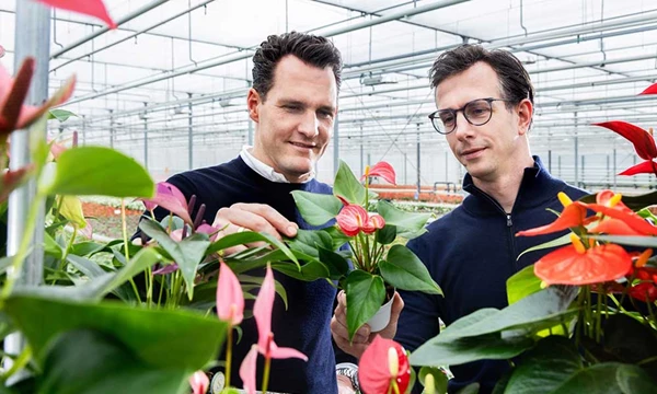Stolk Brothers winnaar van Tuinbouw Ondernemersprijs 2024