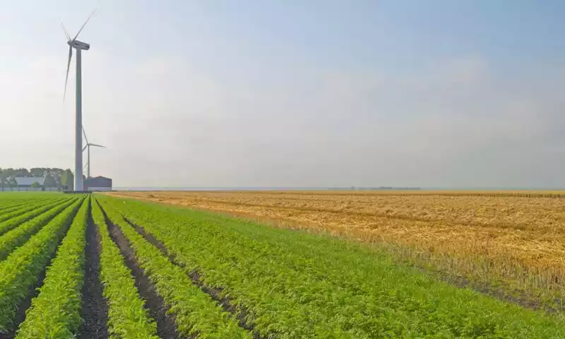 Circulaire en rendabele landbouw