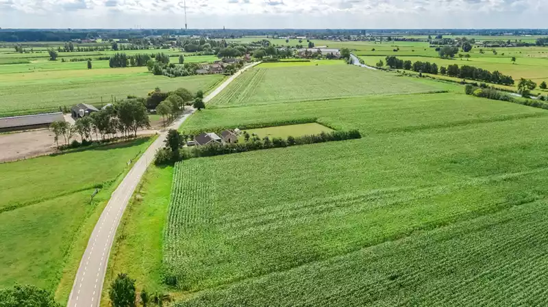 Verdienvermogen in de landbouw: gebiedsgericht werken en uitdagingen economisch systeem