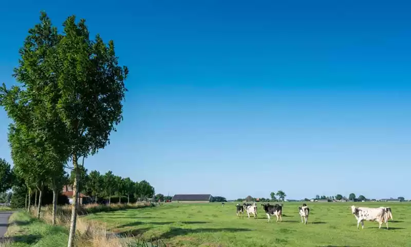 Van NPLG naar innovatiekracht en doelsturing: dit houdt het in