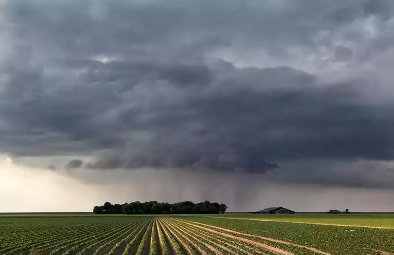 Akkerbouwer: kiest u voor een brede weersverzekering?