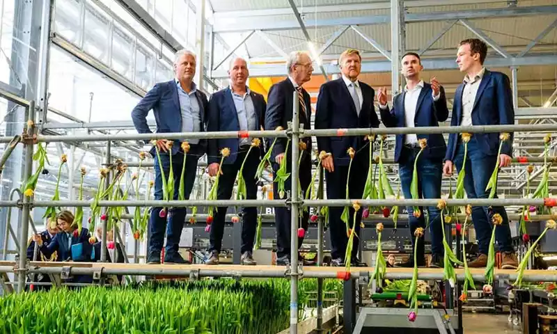 Innovaties in de tuinbouw: koning en staatssecretaris op werkbezoek